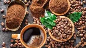 Cần tìm đơn vị vận tải vận chuyển mặt hàng cafe đi Ý