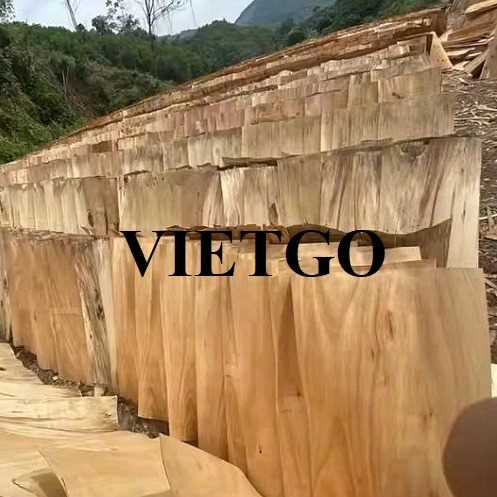 Thương vụ xuất khẩu ván bóc sang thị trường Ấn Độ