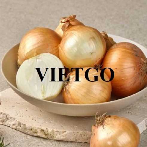 Cơ hội xuất khẩu hành tây đến thị trường Albania