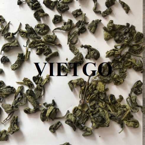 Cơ hội hợp tác xuất khẩu chè xanh đến thị trường Afghanistan