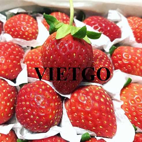 Cơ hội hợp tác xuất khẩu dâu tây đến thị trường Brazil 