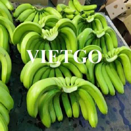 Cơ hội xuất khẩu chuối tới thị trường Qatar 