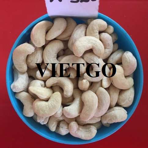 Cơ hội xuất khẩu hạt điều nhân trắng w320 và w450 sang thị trường Ấn Độ