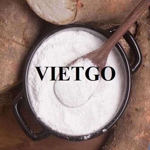 Cơ hội xuất khẩu bột sắn đến thị trường Trung Quốc