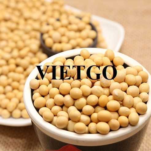 Cơ hội hợp tác xuất khẩu đậu nành đến thị trường Mỹ  