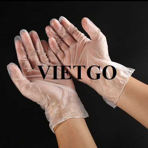 Thương vụ xuất khẩu găng tay vinyl sang thị trường UAE