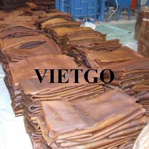(Cập nhật) Thương vụ xuất khẩu mủ cao su sang thị trường Ấn Độ