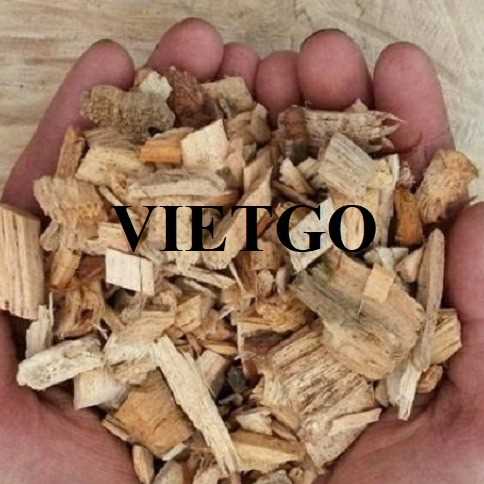 Thương vụ xuất khẩu gỗ vụn sang thị trường Ấn Độ