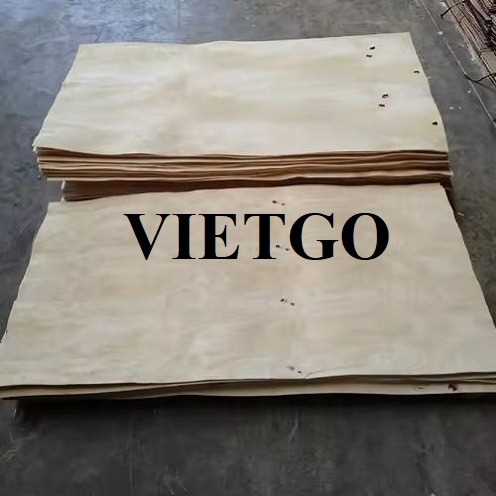 (Cập nhật) Thương vụ xuất khẩu ván bóc cao su sang thị trường Ấn Độ
