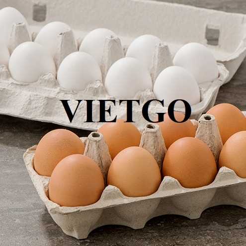 Cơ hội hợp tác xuất khẩu trứng với vị khách hàng người Thổ Nhĩ Kỳ  