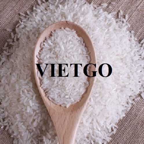 Cơ hội hợp tác xuất khẩu gạo đến thị trường Anh