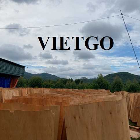 Thương vụ xuất khẩu sản phẩm ván bóc đến thị trường Ấn Độ