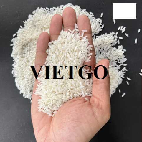 Cơ hội hợp tác xuất khẩu gạo đến thị trường Nam Phi 
