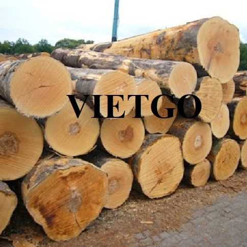 Thương vụ xuất khẩu sản phẩm gỗ dẻ gai đến thị trường Thổ Nhĩ Kỳ