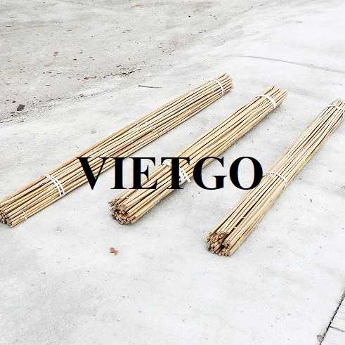 Đơn hàng hợp tác xuất khẩu gậy tre sang thị trường UAE