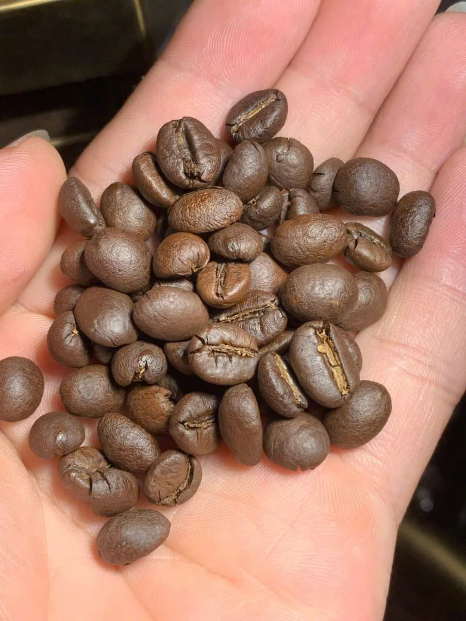 Cà phê hạt rang Robusta