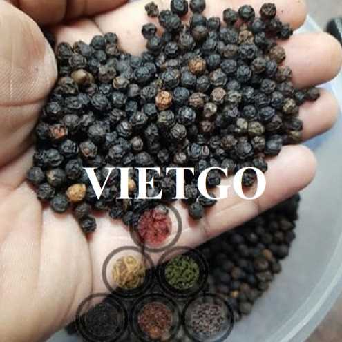 Cơ hội hợp tác xuất khẩu tiêu đen đến thị trường Ấn Độ