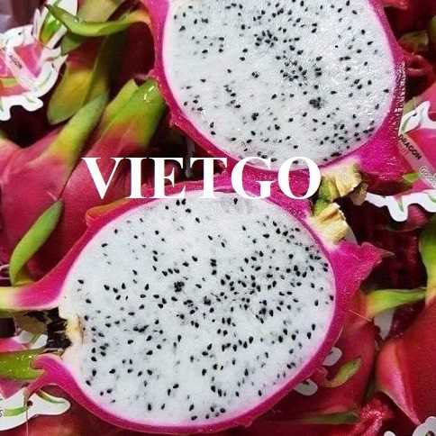 Cơ hội xuất khẩu thanh long ruột trắng sang thị trường Ấn Độ 