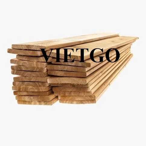 Thương vụ xuất khẩu gỗ bạch đàn xẻ sang thị trường Ấn Độ 