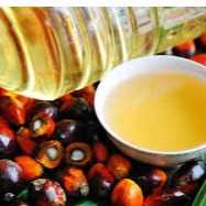 I want to buy Palm Oil