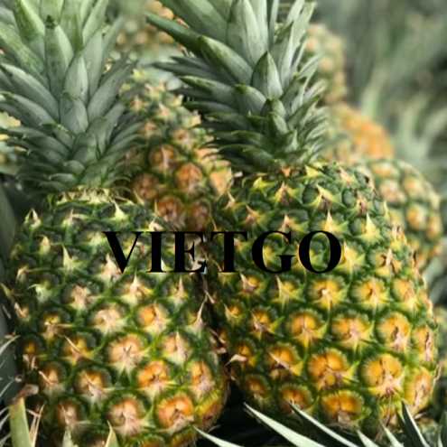 Cơ hội xuất khẩu dứa tươi sang thị trường Anh