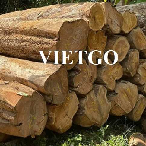 Thương vụ xuất khẩu sản phẩm gỗ teak tròn sang thị trường Ấn Độ