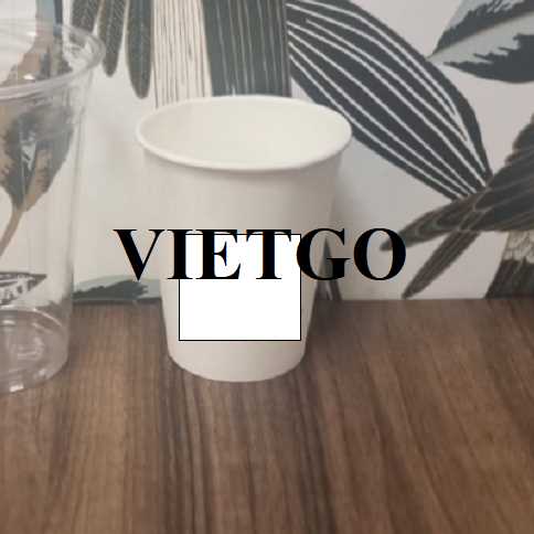 Thương vụ xuất khẩu cốc và bát giấy đến thị trường Tây Ban Nha 