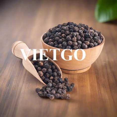 Cơ hội hợp tác xuất khẩu hạt tiêu đến thị trường Ấn Độ  