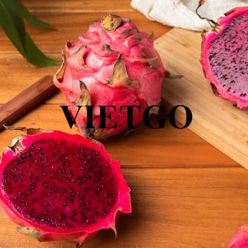 Cơ hội hợp tác xuất khẩu thanh long đến thị trường Fiji  