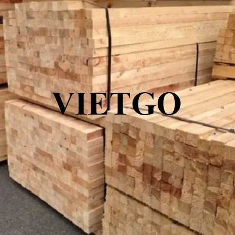 Cơ hội xuất khẩu gỗ thông xẻ sang thị trường Ai Cập