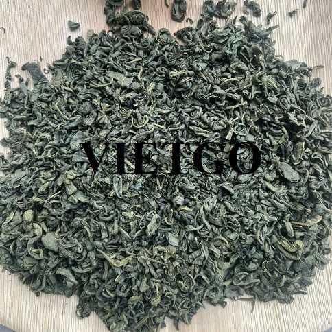 Cơ hội xuất khẩu chè xanh cùng vị khách người Afghanistan