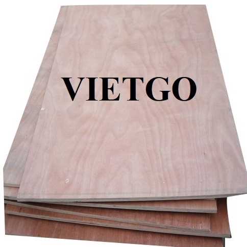 Thương vụ xuất khẩu gỗ dán sang thị trường Ấn Độ