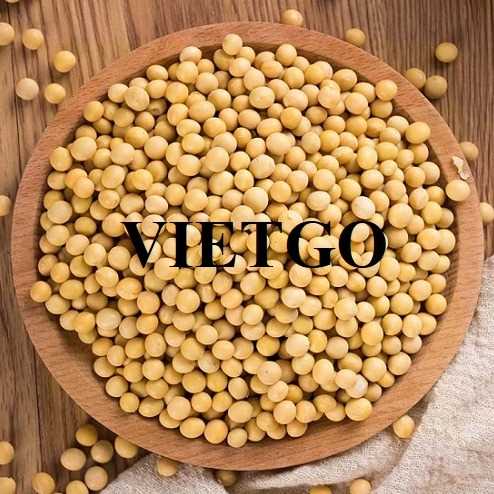 Cơ hội hợp tác xuất khẩu đậu nành sang thị trường Thổ Nhĩ Kỳ và UAE