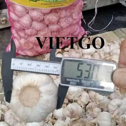 Cơ hội hợp tác xuất khẩu tỏi sang thị trường Indonesia