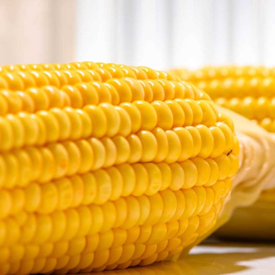 I want to buy yellow corn