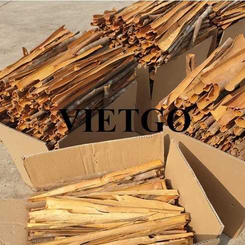 Thương vụ xuất khẩu quế chẻ sang thị trường Ấn Độ