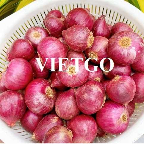 Cơ hội hợp tác xuất khẩu hành đến thị trường Thái Lan  