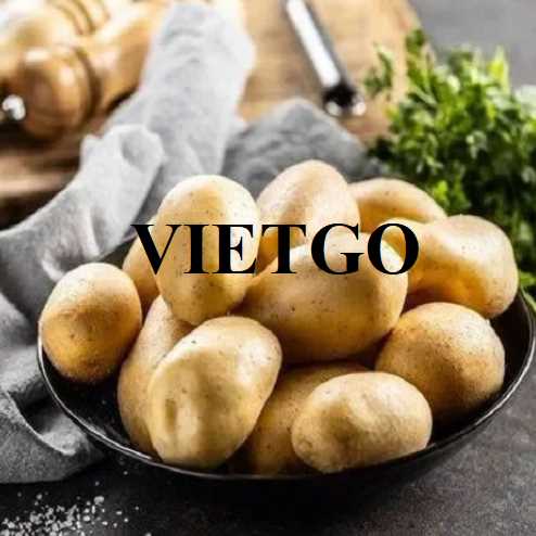 Cơ hội hợp tác xuất khẩu khoai tây đến thị trường Thái Lan  