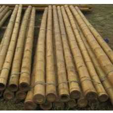 I want to buy bamboo pole