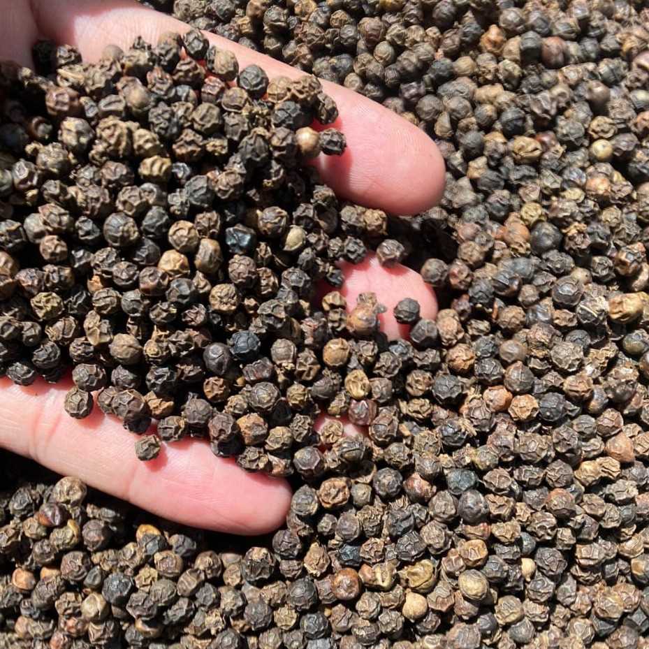 I want to buy black pepper
