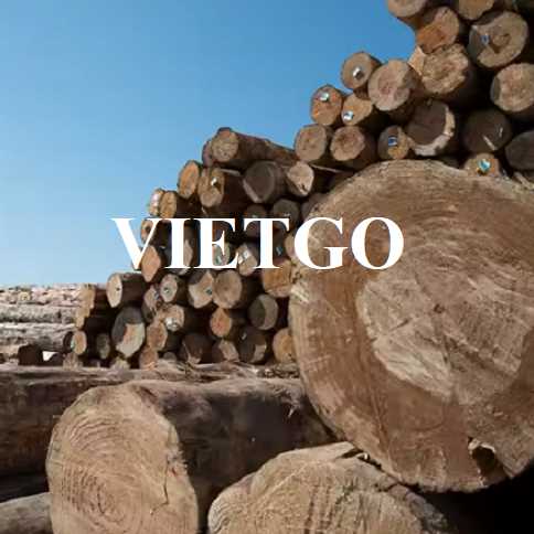 Thương vụ xuất khẩu gỗ thông tròn sang thị trường Ai Cập