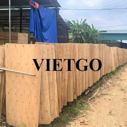 Thương vụ xuất khẩu ván bóc sang thị trường Ấn Độ