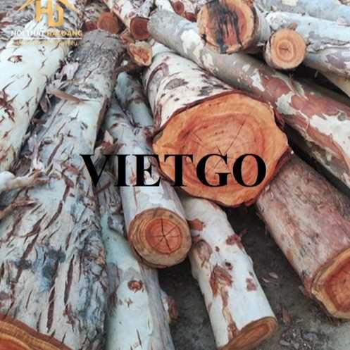 Thương vụ xuất khẩu bạch đàn tròn sang thị trường Ấn Độ