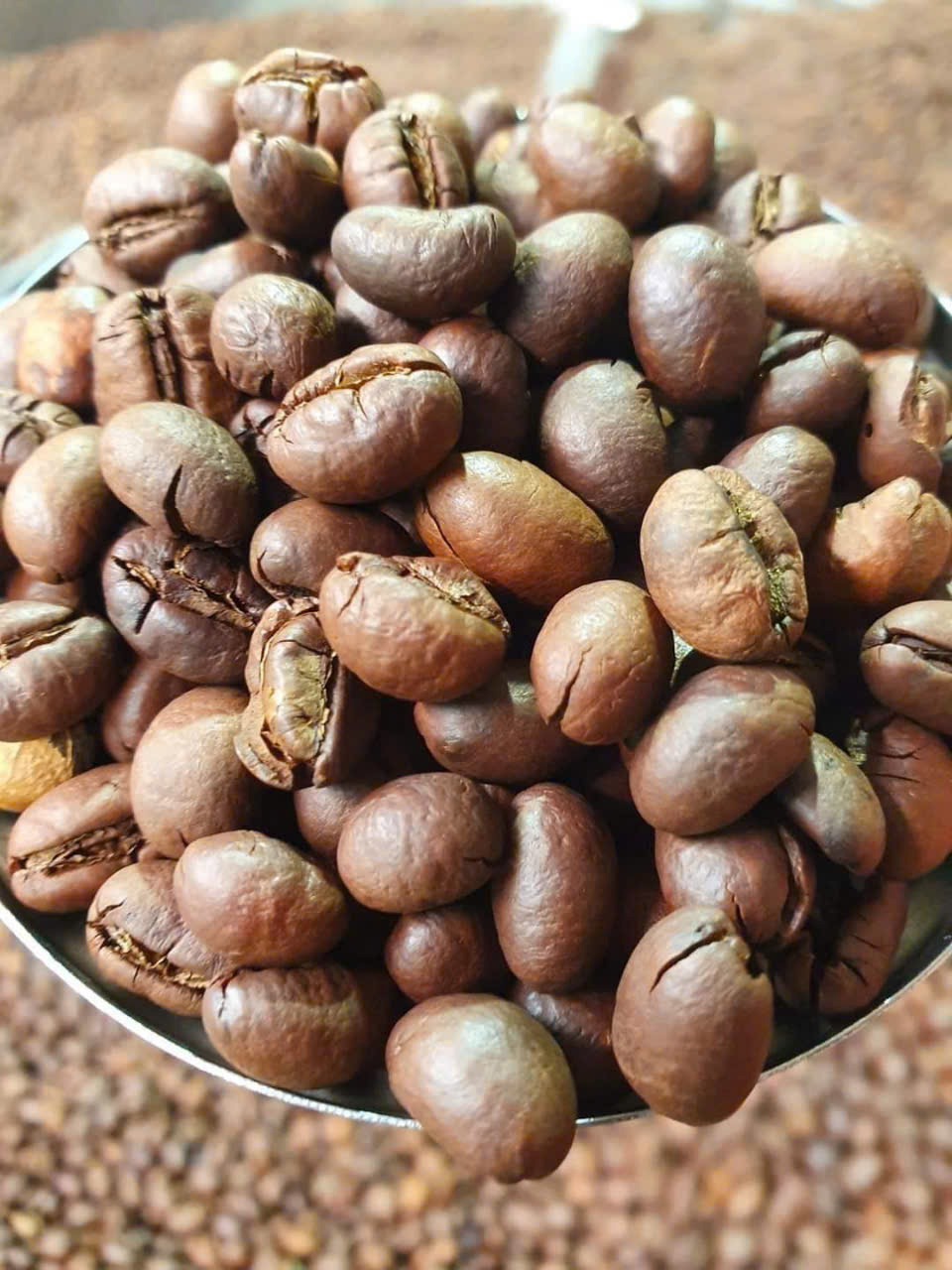 Cà phê hạt rang Culi