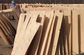 Cần mua sản phẩm Ván bóc để phục vụ xuất sang Ấn Độ