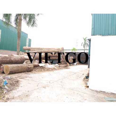 Thương vụ xuất khẩu sản phẩm gỗ thông tròn đến thị trường Ấn Độ