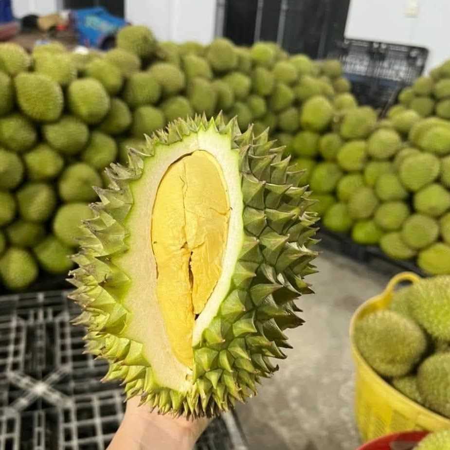I want to buy Durian