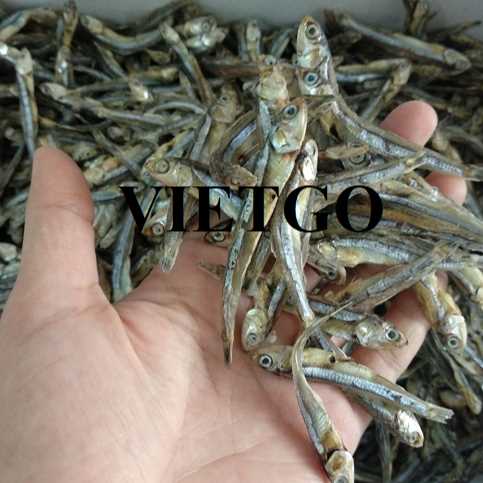 Cơ hội xuất khẩu cá cơm sang thị trường UAE