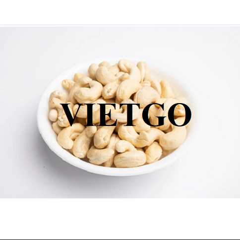 Cơ hội hợp tác xuất khẩu hạt điều đến thị trường Thổ Nhĩ Kỳ 