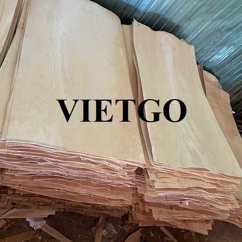 Cơ hội xuất khẩu ván bóc sang thị trường Ấn Độ